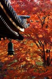 古都の朝-南禅寺