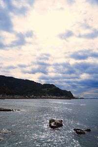 １１月１１日の海③🌊