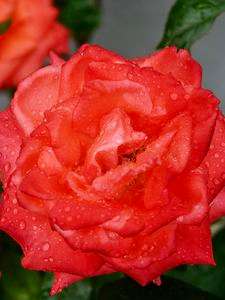 早起きは三文の徳