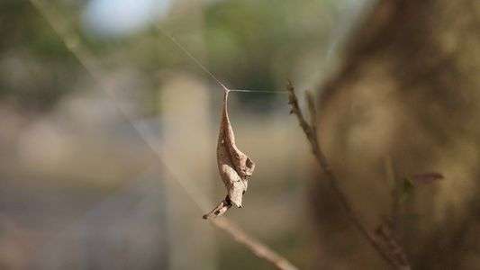 手放す前に　one moment