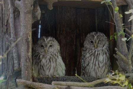 記念写真　パチリ