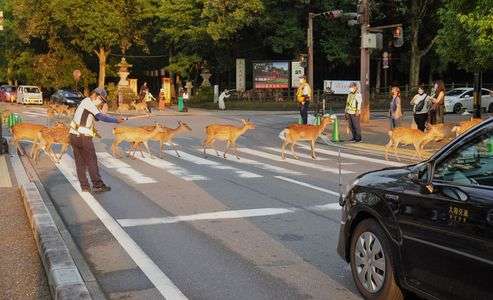 夕暮れの帰り道
