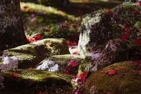 心穏やかに秋の深まりを感じ