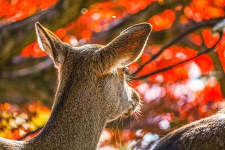 振り向いた先には