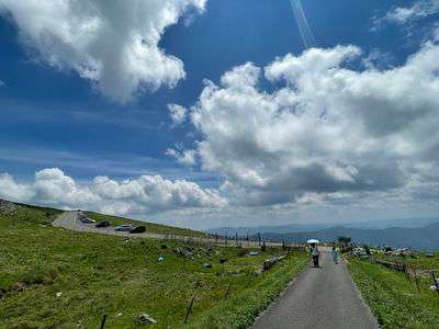 愛媛カルスト　爽快な草原