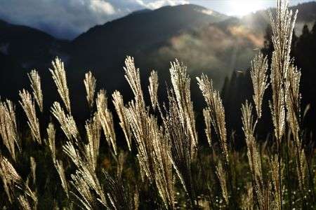 初秋の光#カレンダー2025#