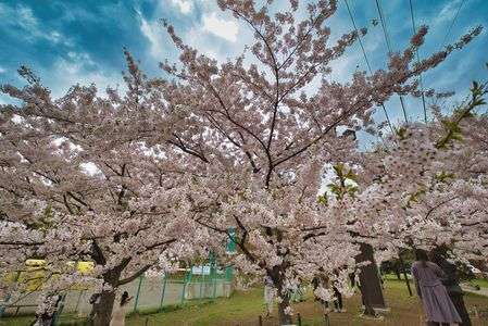 賑わいだしてきた