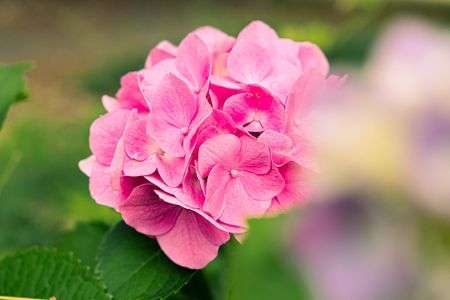 雨の日に見つけた希望