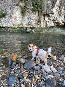 川遊び大好き！