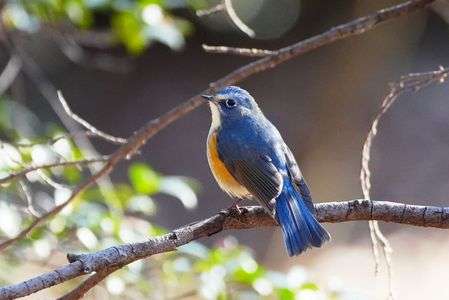 綺麗になったね❣　