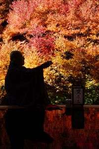 秋の装い〜　紅のドウダンツツジ