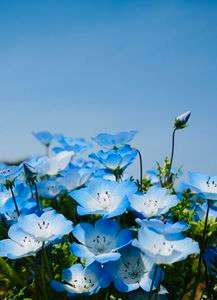 大きく翔け〜　#フラワー2025#