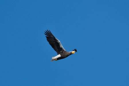 湖北、晴天に恵まれる
