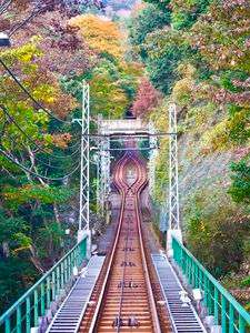 大山ケーブルカー　秋2023