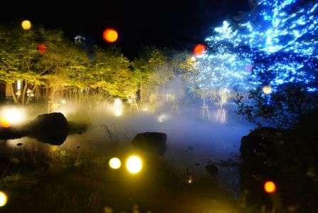 淡いイルミネーション