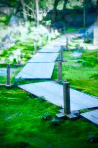 昼下がりの散歩