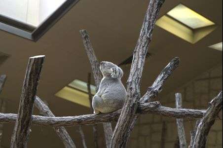 我想う故に割れあり