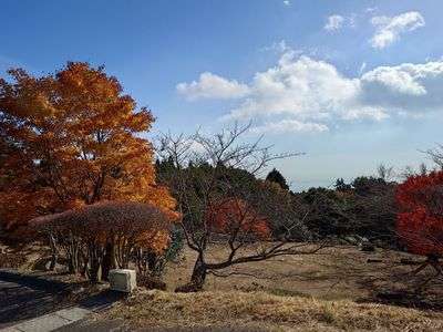 秋の野呂山での一コマ