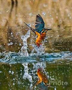 水上がりのキミ