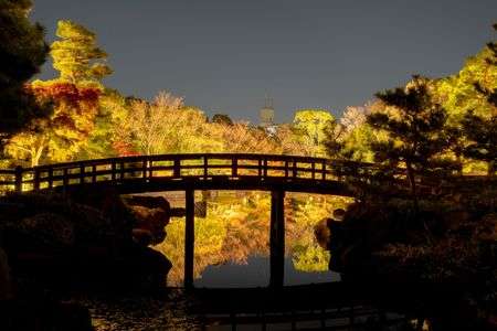 紅葉と橋〜白鳥庭園〜