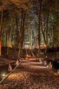 安祥寺ライトアップ