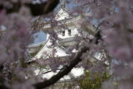 晩春水都　糜城大河の畔にて