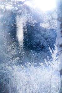 パウダースノー