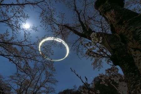 和#フラワー2025#