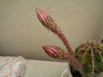 エアコン室外機の上部