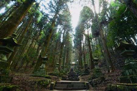 異世界への入口