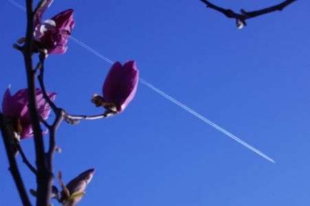 パイロットの孤独