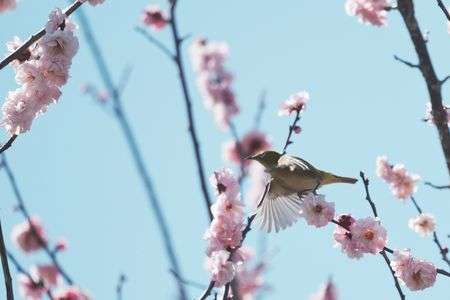 かろやかな飛び立ち
