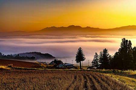 雲海に沈む畑、浮かぶ旭岳