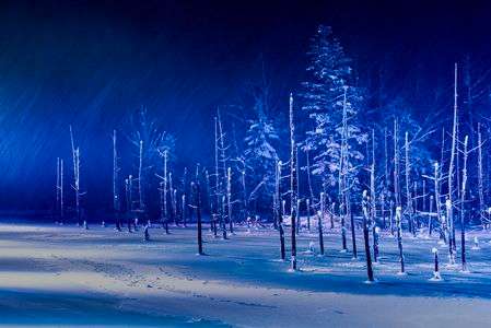 雪嵐の夜 〜青い池ライトアップ〜