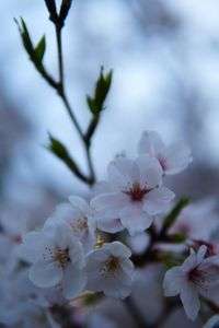 まだまだこれから！