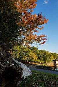 そこに在る景色