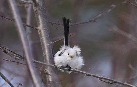 列島各地で吹き荒れた強風💦