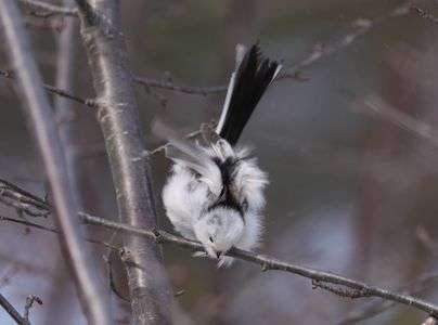 あまりの強風に前傾姿勢