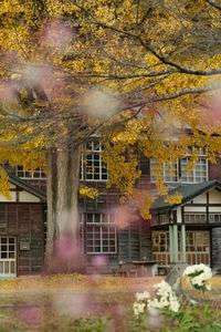 花影の向こうの秋