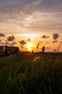 夕日に染まる土手