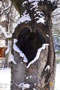 もうすぐ恋の季節