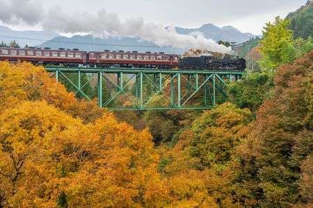 秋彩の橋梁を渡る