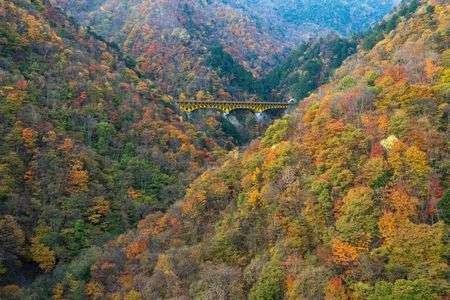奥秩父、滝川渓谷の秋