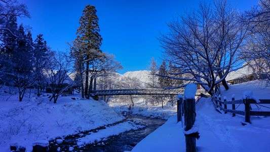 白馬村大出公園の朝