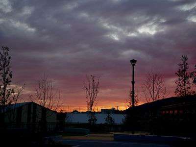 キョンが待っていた時の風景かもしれない