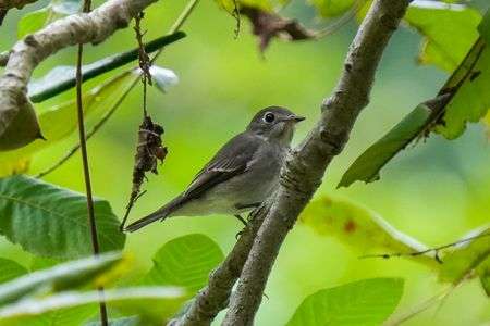 やっと会えましたね！