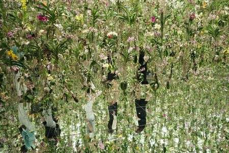 floating flowers garden