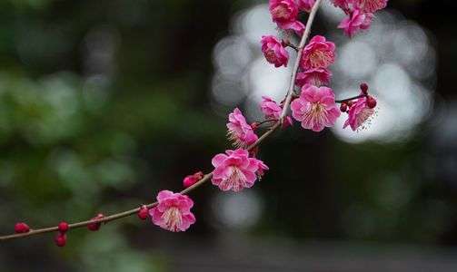 寒さに負けず、いい顔してる！