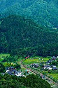 緑の中から現る