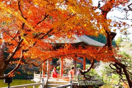 琴を奏でるもみじ祭り